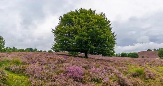 B&bveluwezoom 3* Eerbeek